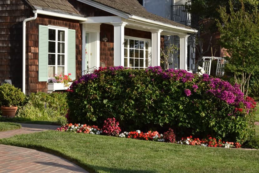 A brown shingled cottage with green shutters and a white porch, fronted by magenta bougainvillea, red impatiens and a lawn