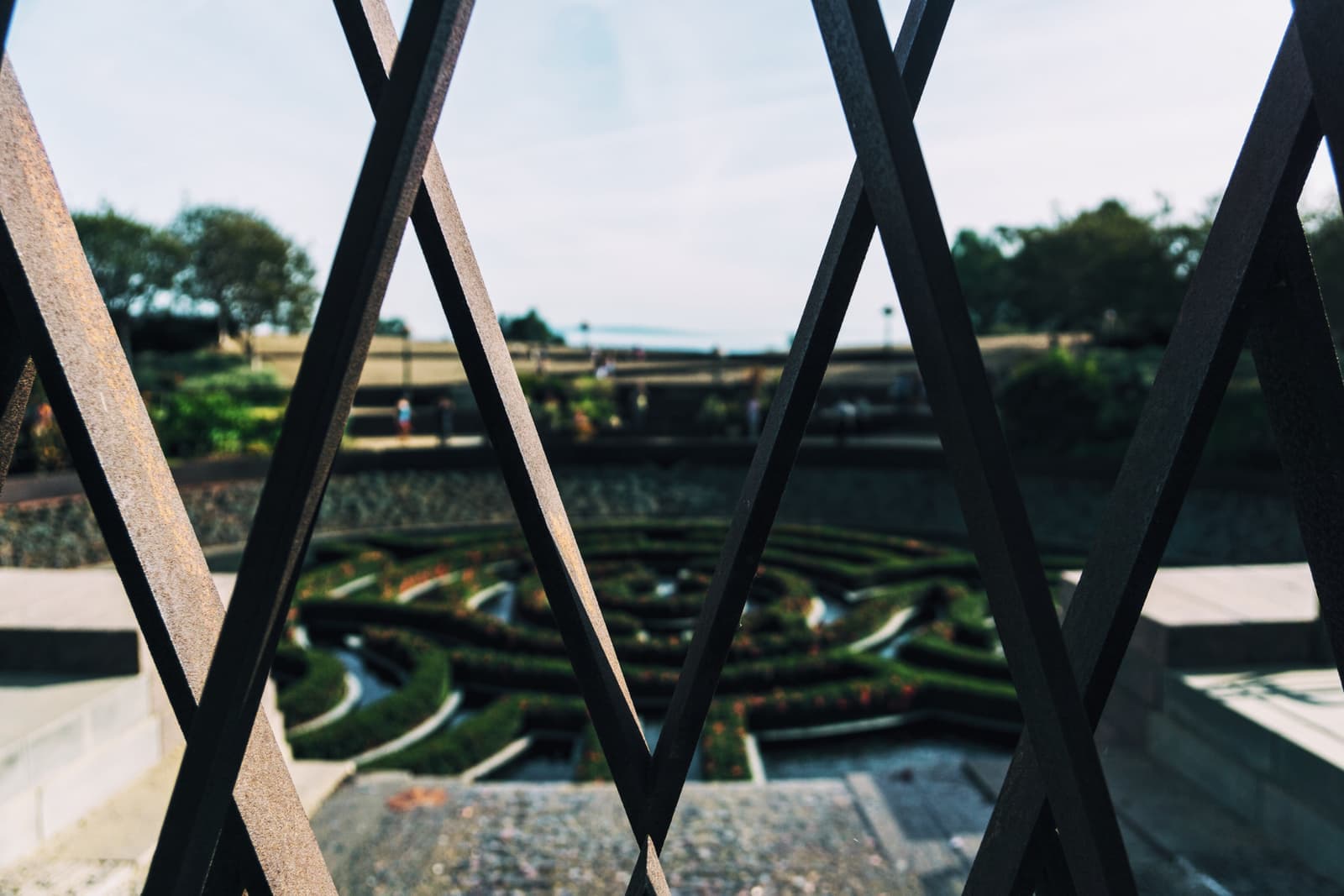 The hedge maze in the Getty's Central Garden seen through the crossed bars of a steel arbor