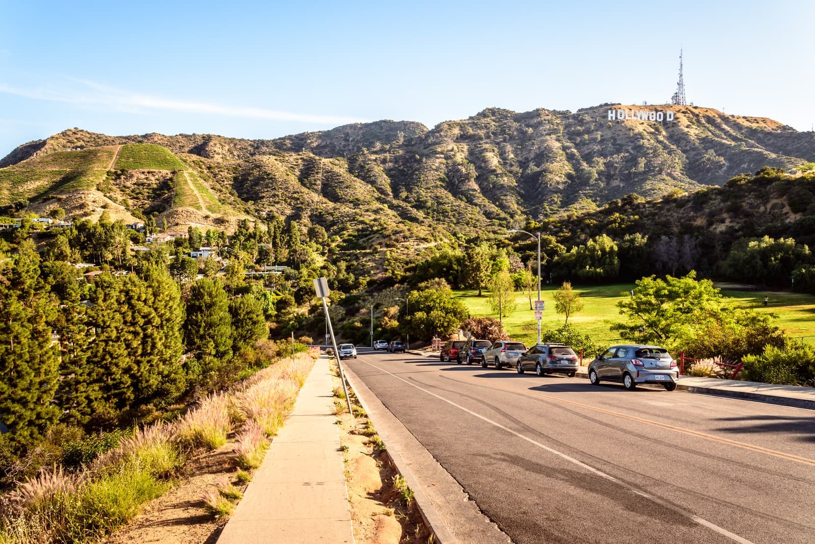 Sunlit hillside road with parked cars, pines and a green park lawn, the Hollywood Sign on the brown ridge above