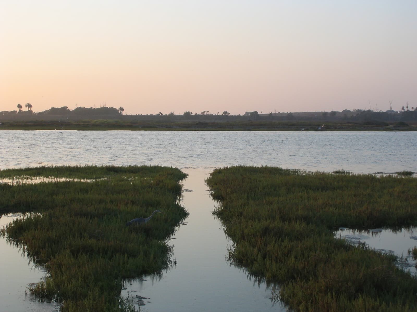 Two green salt marsh banks with a strip of still water between them, a wide lagoon beyond and a pale pink dusk sky