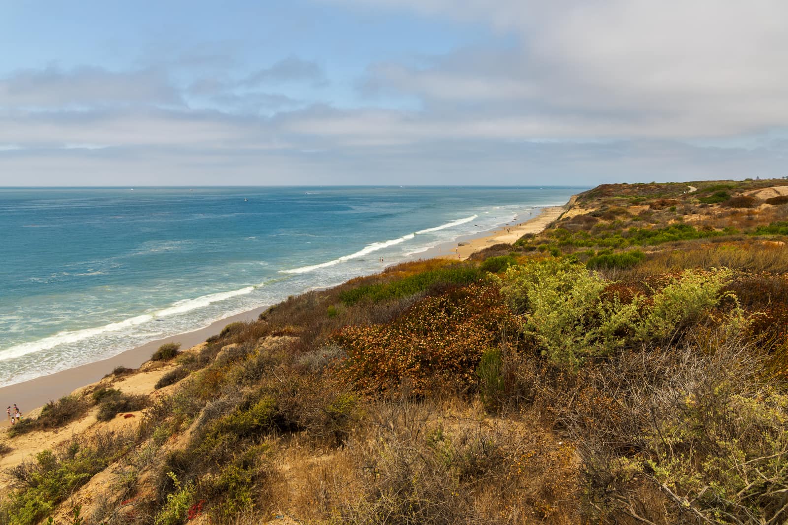 Crystal Cove State Park bluffs, beach, and coastal scrub looking down the coast