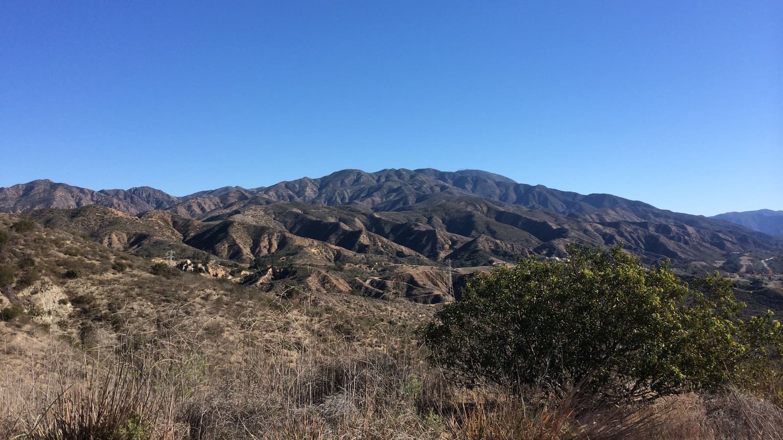 Dry chaparral and a green shrub in front of folded brown foothills and the long ridge of the Santa Ana Mountains under a clear sky.