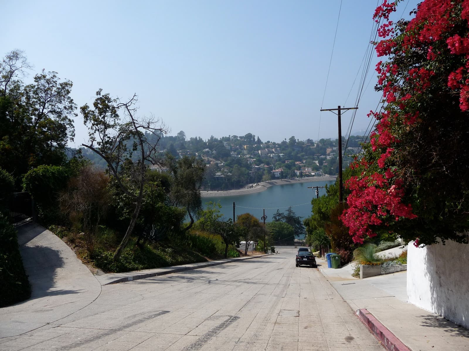 Крутая улица спускается к водохранилищу Silver Lake Reservoir, цветёт бугенвиллея, за водой дома на склоне