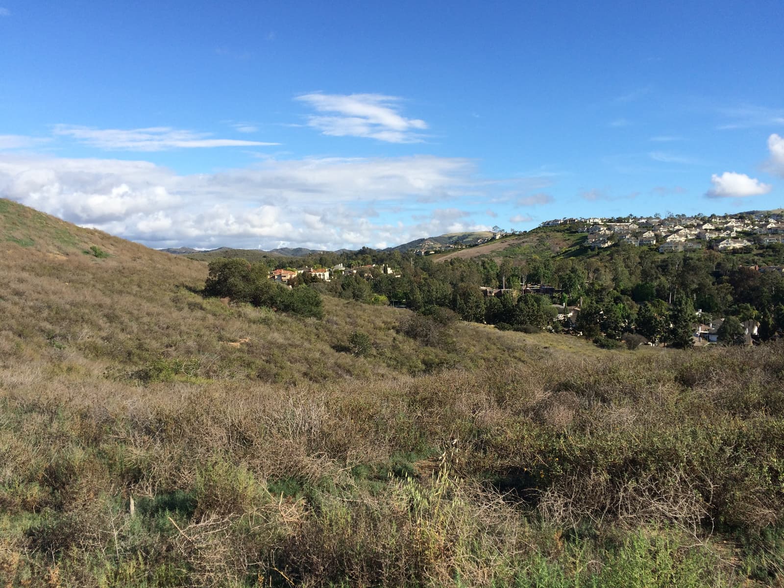 Grassy, scrub-covered slopes frame a valley of trees and rooftops, with a hillside of homes on the right under a blue sky