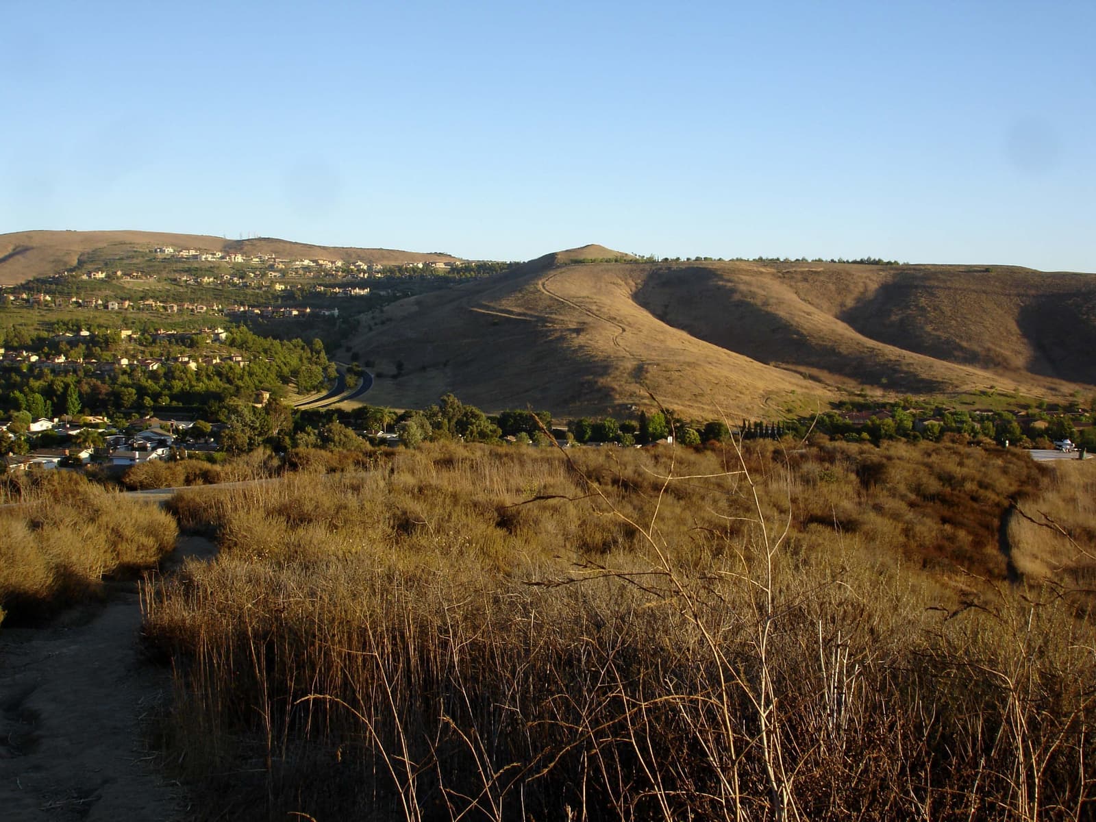 A dirt trail runs through dry golden grass toward a bare hill with a switchback path, homes and trees along the ridge in warm light