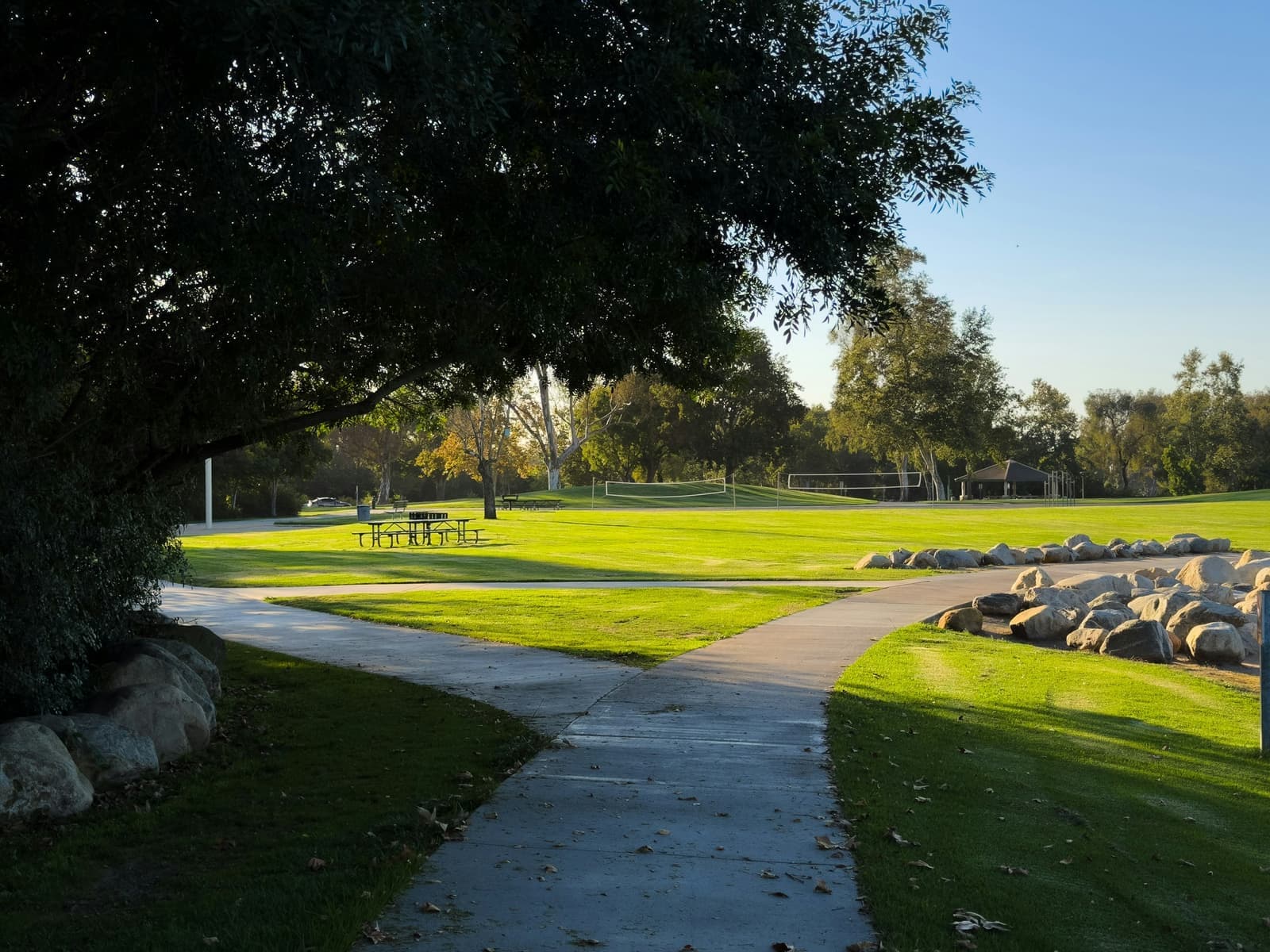 Two concrete paths curve through bright green lawns under a large shade tree, with boulders and picnic tables in low sun
