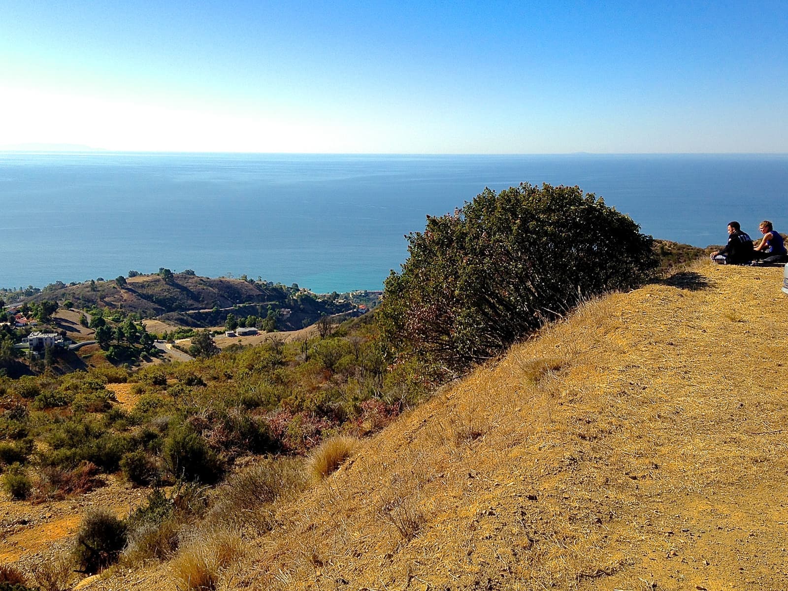 A golden grassy ridge with a big green shrub, chaparral slopes with a few houses below, two people sitting at right, the Pacific beyond