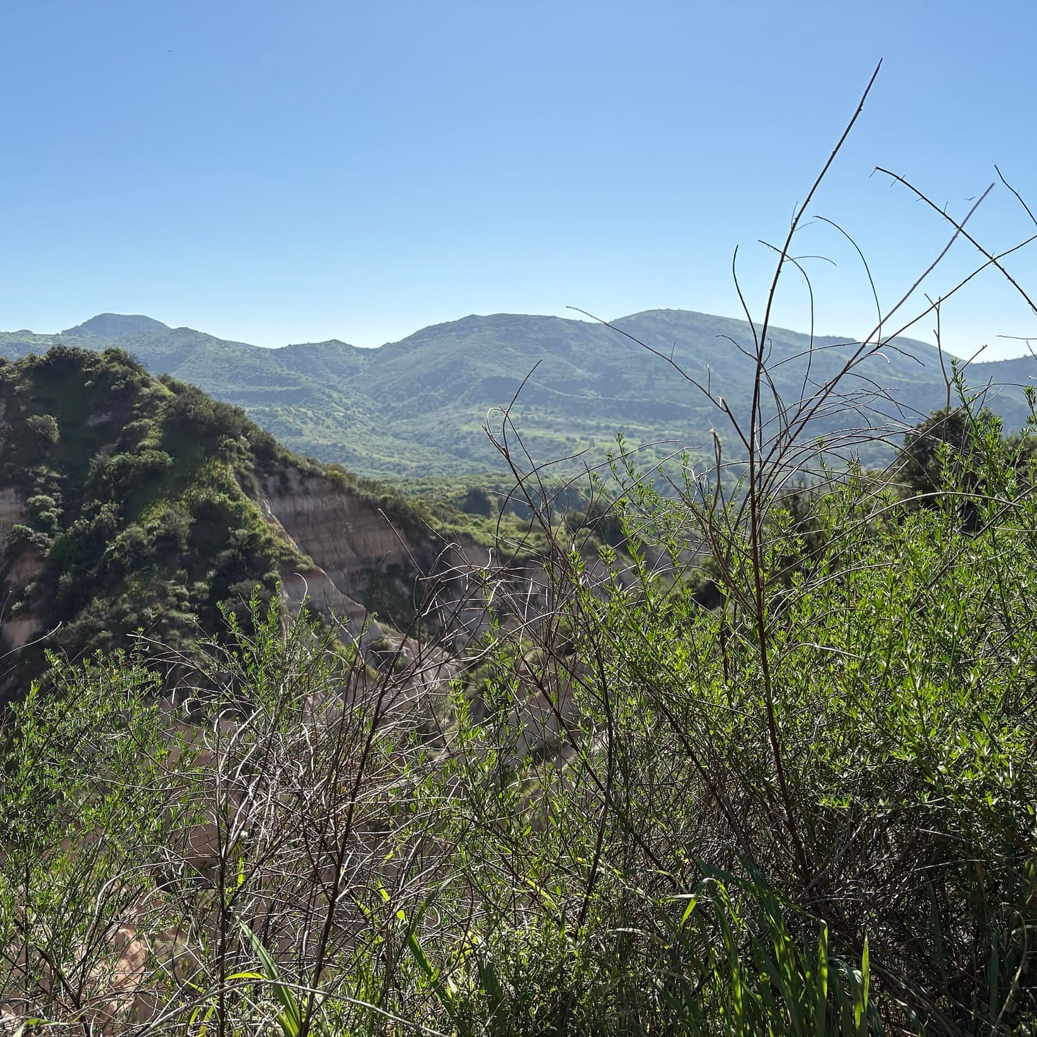 The green ridgelines of the Irvine Ranch open space above North Irvine