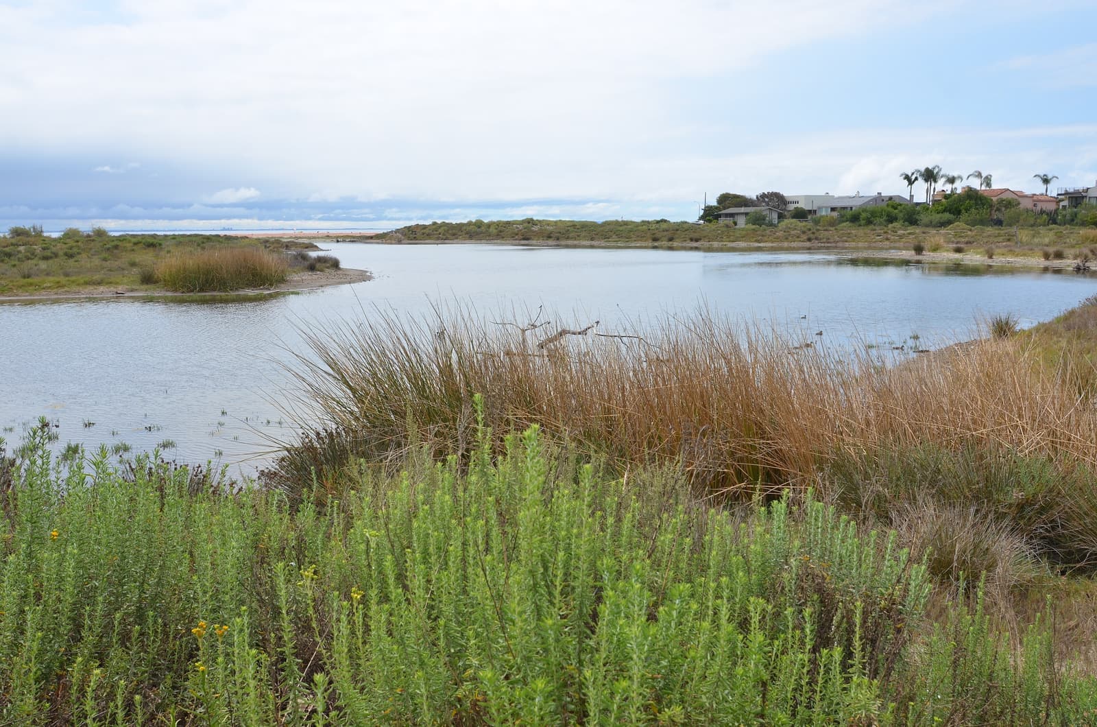 Still lagoon water framed by green coastal shrubs and golden grasses, with low houses and trees on the far shore under a pale sky