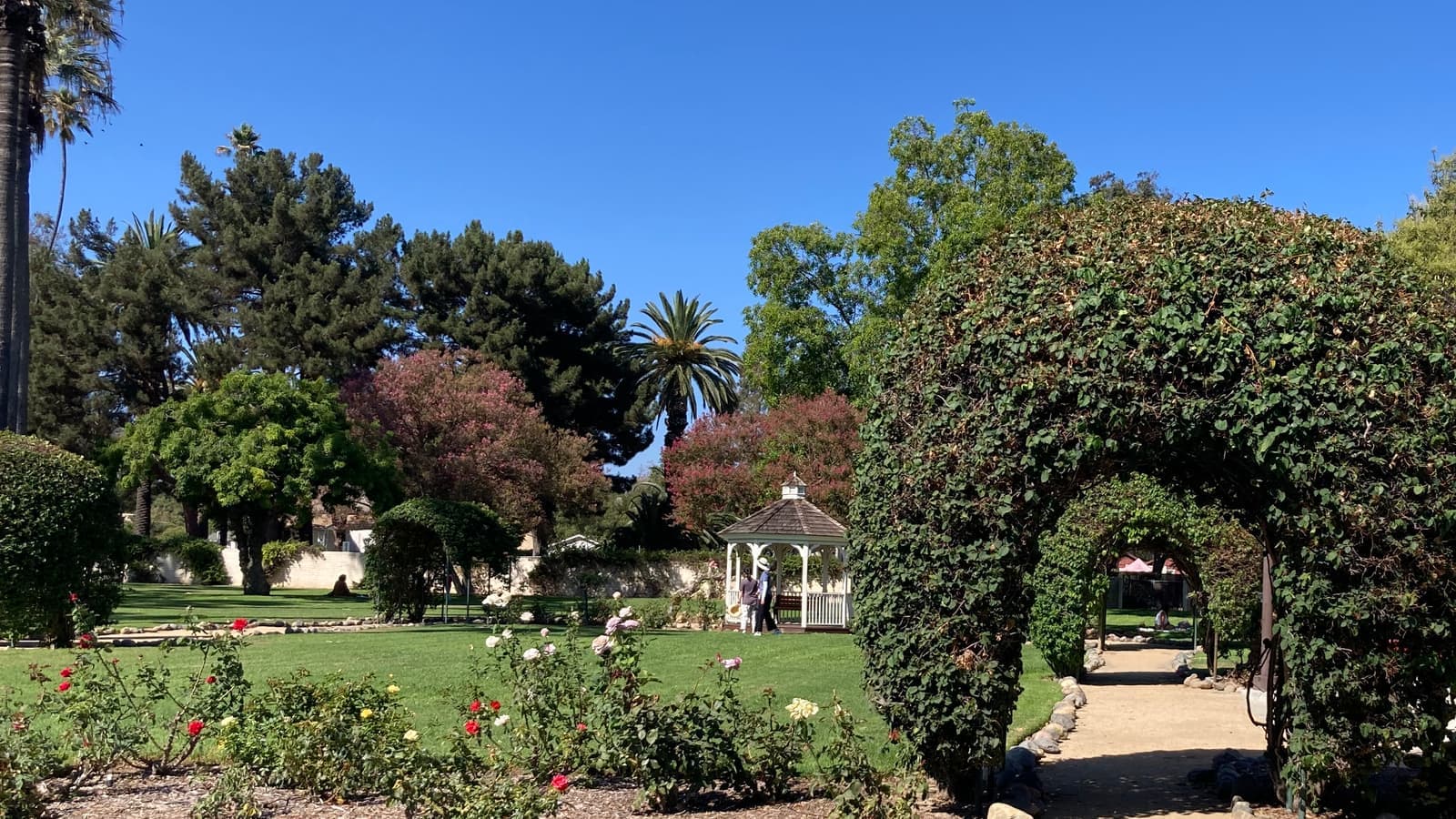 Red, pink and yellow roses in front of a lawn, a white gazebo and a tunnel-shaped arch of ivy under a blue sky