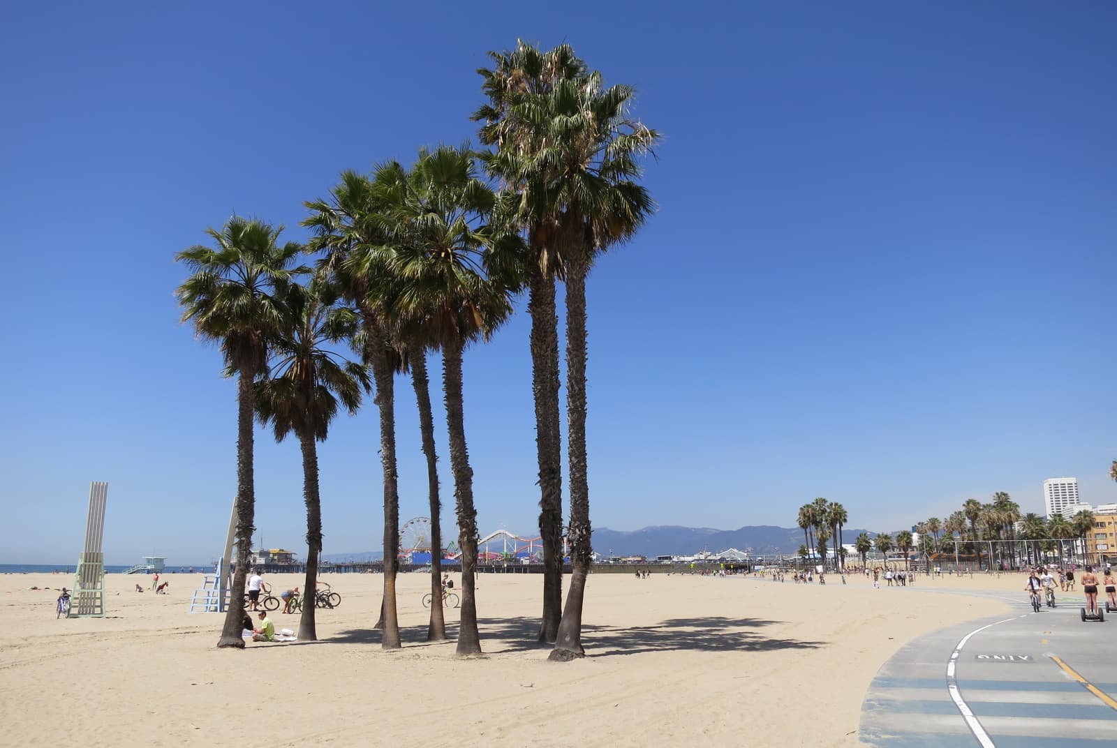 A cluster of tall palms on wide pale sand beside a curving bike path, with the Santa Monica Pier and mountains in the distance