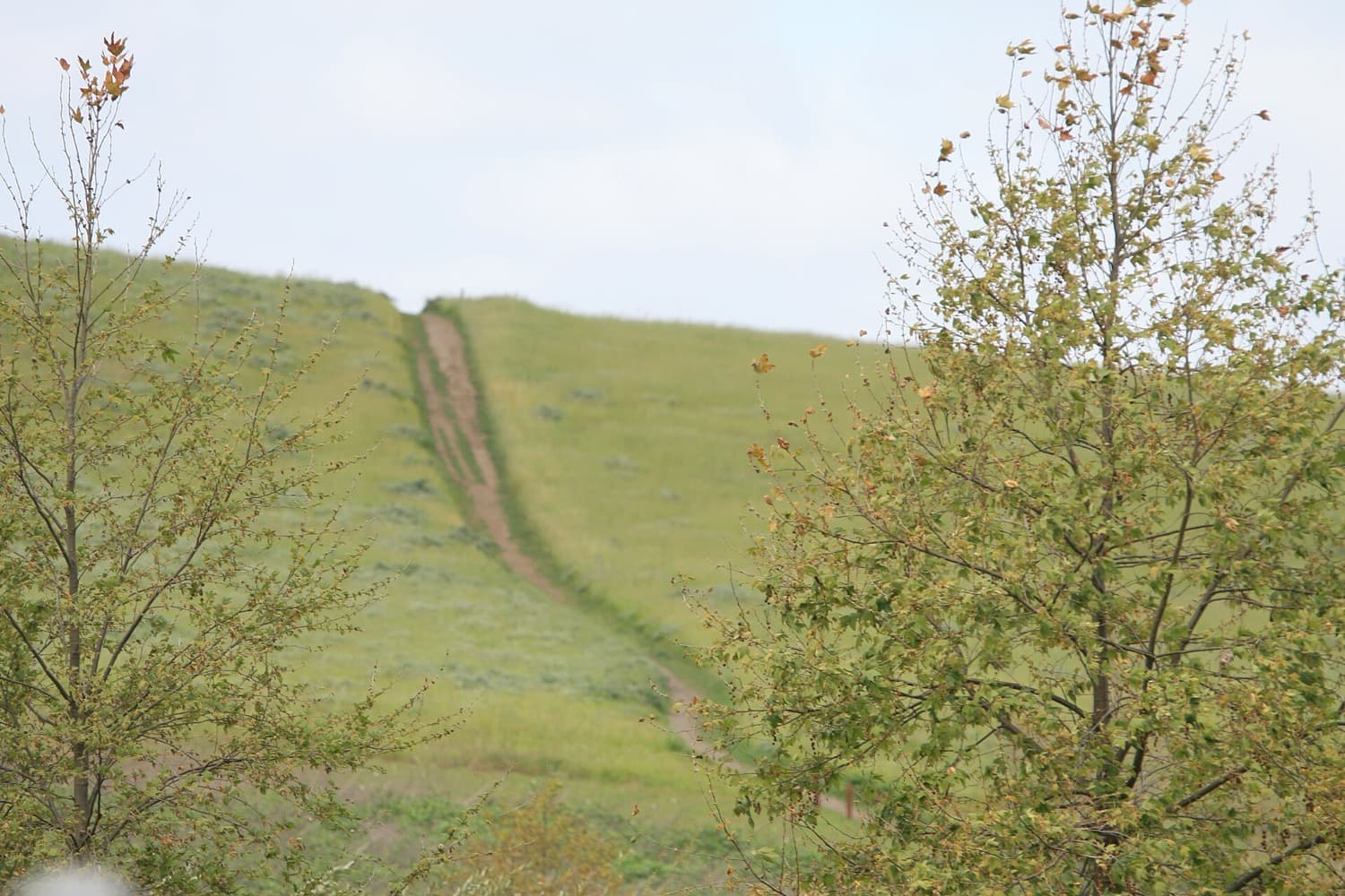 The Quail Hill Loop trail climbing the open hills above Irvine