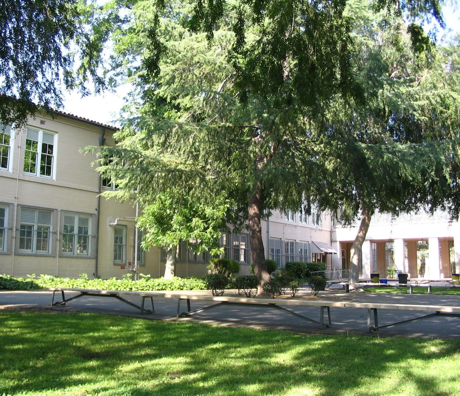 A two-story cream school building with rows of tall windows behind a big shade tree, a green lawn and long outdoor benches