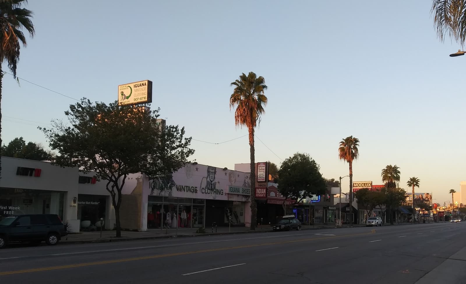 A wide, nearly empty boulevard at dawn, lined with low storefronts, street trees and tall palms under a pale sky