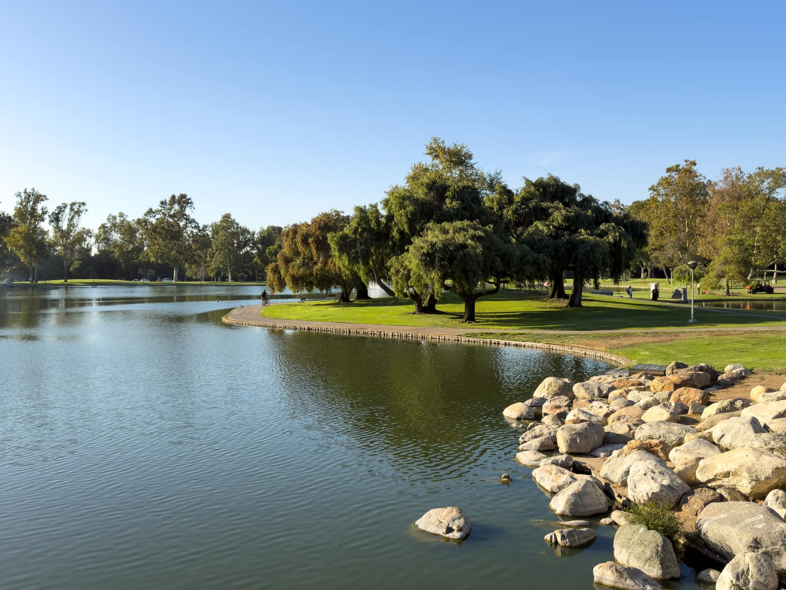 Озеро и газоны в William R. Mason Regional Park в Ирвайне