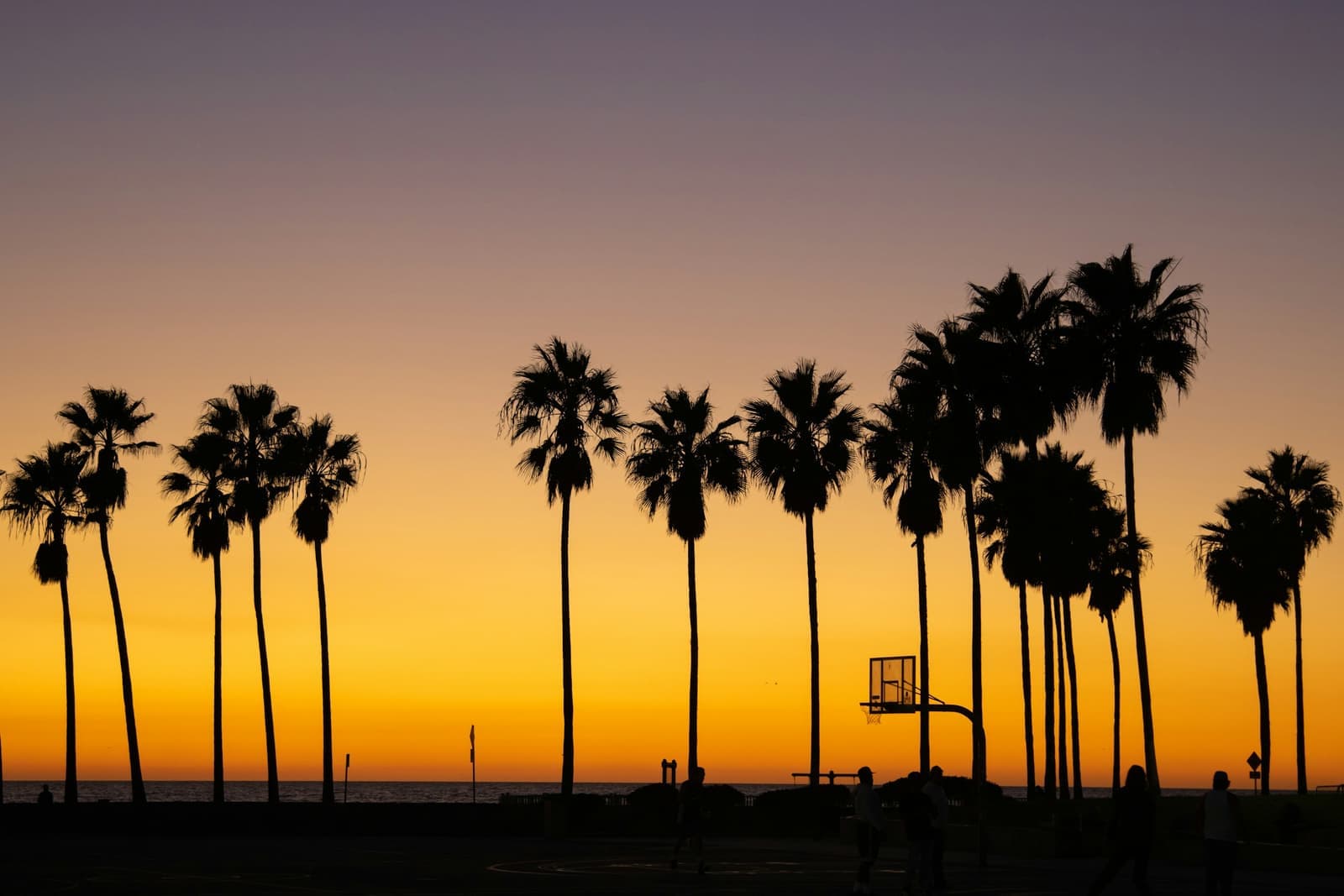 Palm trees and a basketball hoop in silhouette against an orange sunset at Venice Beach