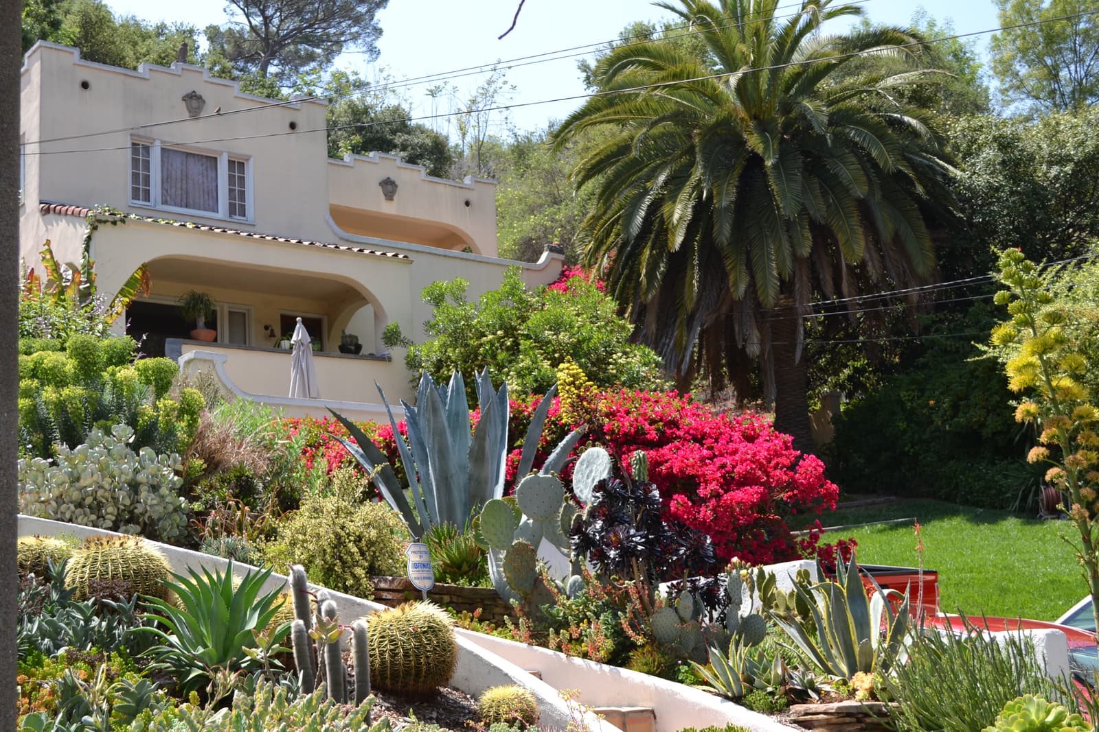 Cream Spanish Revival house with an arched porch on a slope, above terraced beds of agave, cactus and red bougainvillea beside a tall palm