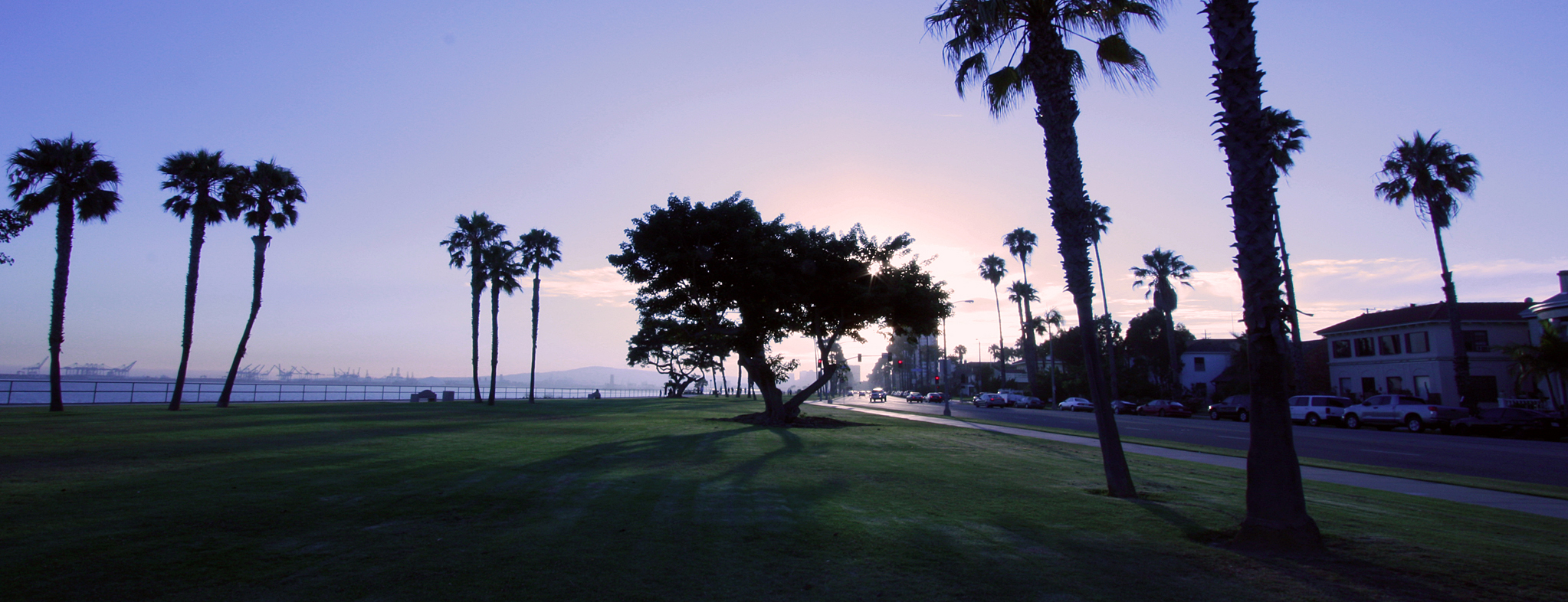 Palm trees silhouetted at dusk over the grassy lawn of Bluff Park with historic homes along Ocean Boulevard in Long Beach, California