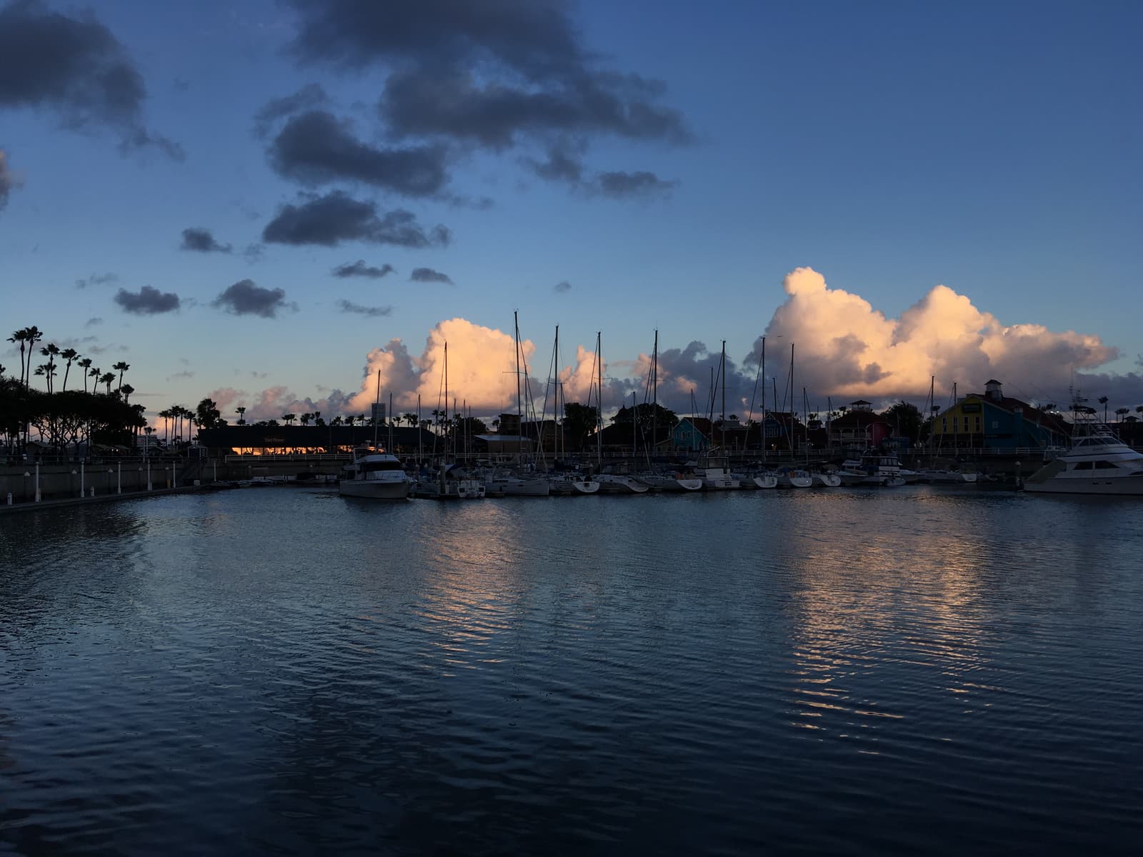 Sailboat masts and palms in silhouette at dusk under a deep blue sky, with pink and white clouds reflected in calm harbor water