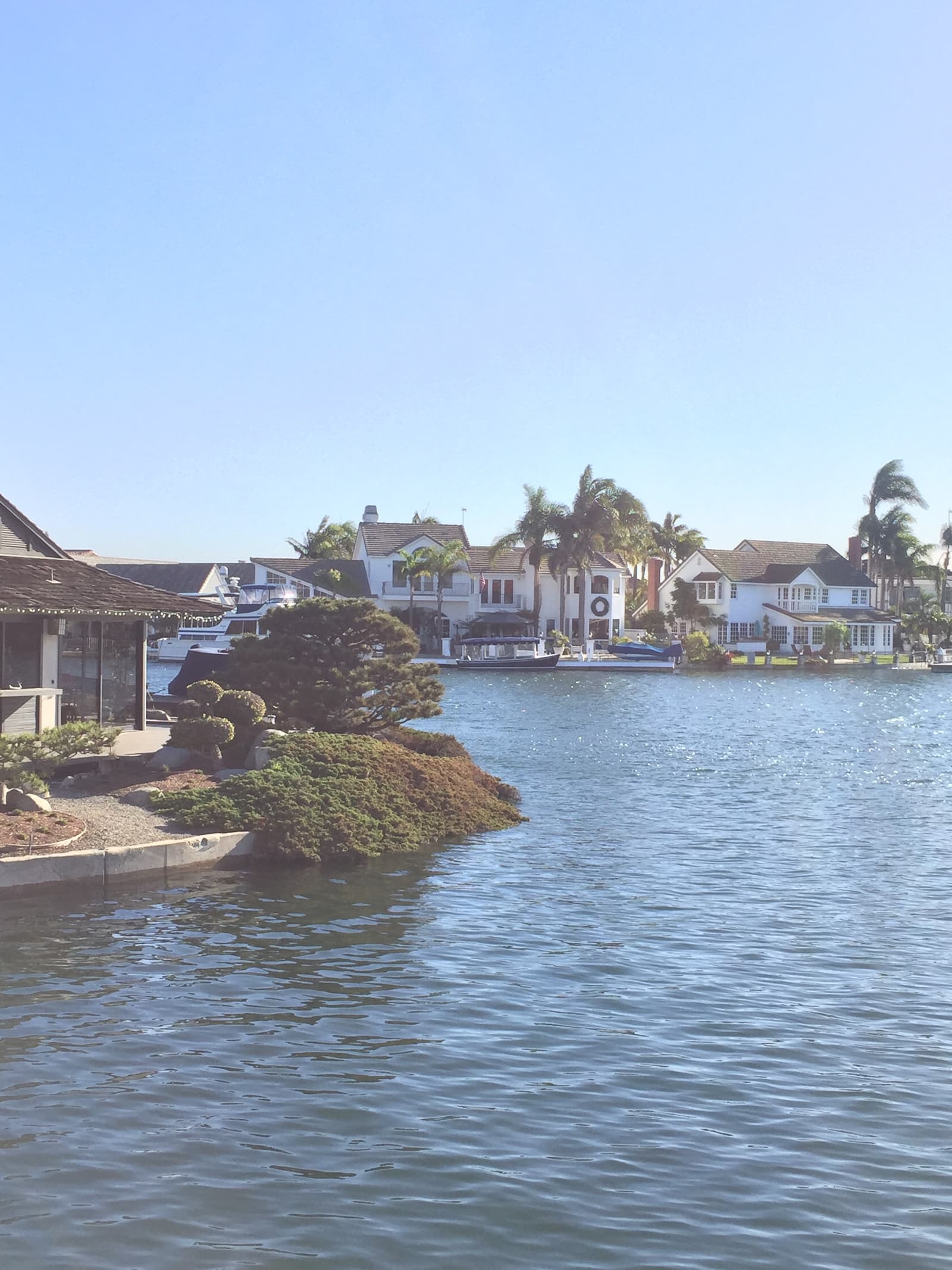 Vertical view across a calm channel to white waterfront houses with palm trees and docks, a rounded green shrub point in front